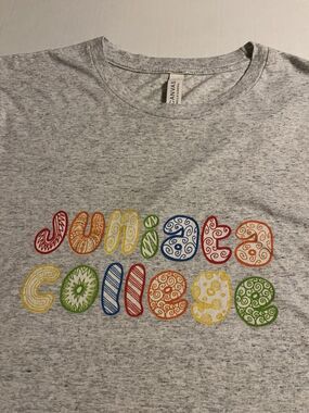 Juniata College Pennsylvania Eagles NCAA Colorful T-Shirt LARGE Gray University